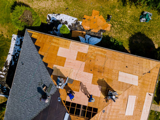 Best Roof Restoration Services  in Nroe City, MO