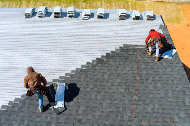 Best Storm Damage Roof Repair  in Nroe City, MO