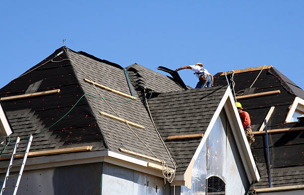 Best Roof Leak Repair  in Nroe City, MO