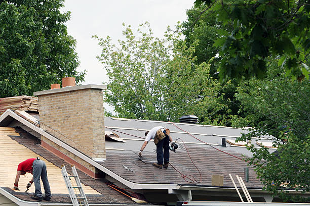 Best Roof Repair Services  in Nroe City, MO